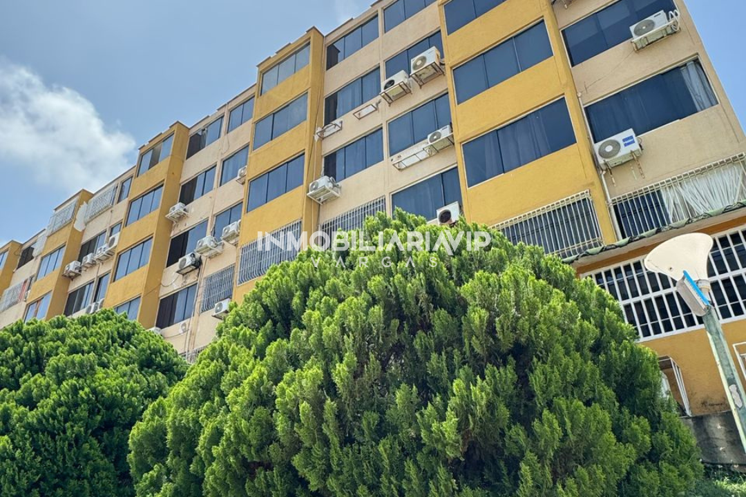 PAGINA WEB (3)