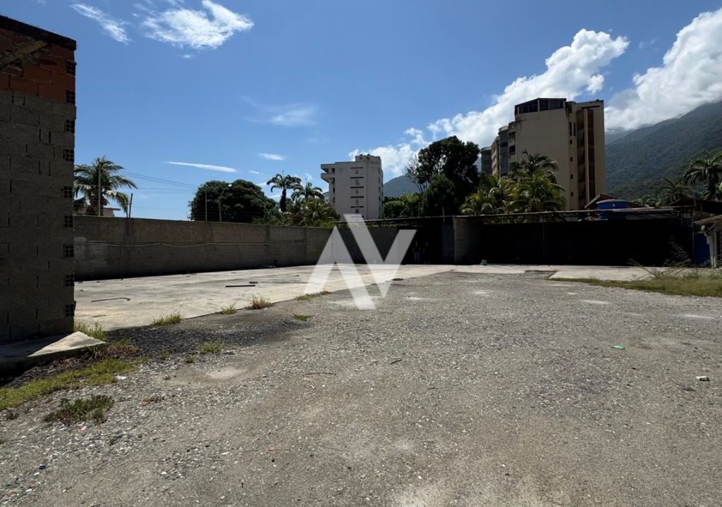 WhatsApp Image 2025-09-08 at 11.52.49 AM (2)