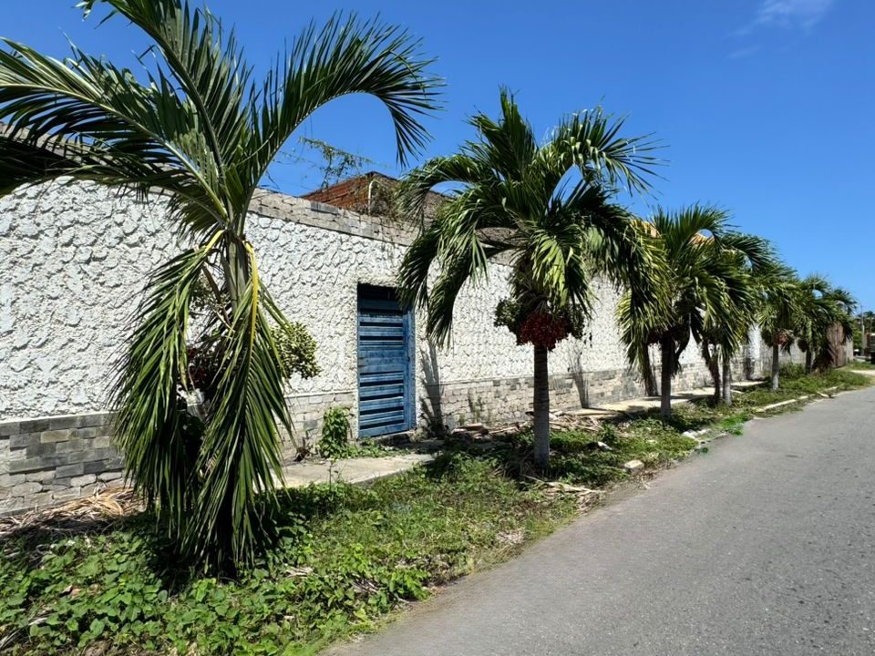 WhatsApp Image 2025-09-08 at 11.52.49 AM