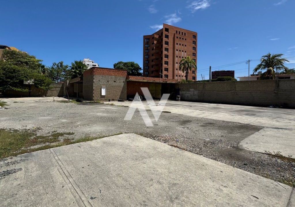 WhatsApp Image 2025-09-08 at 11.52.50 AM (1)