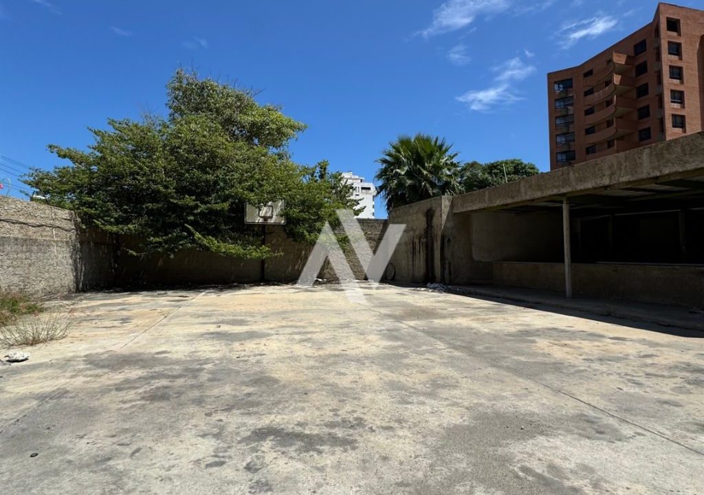 WhatsApp Image 2025-09-08 at 11.52.50 AM