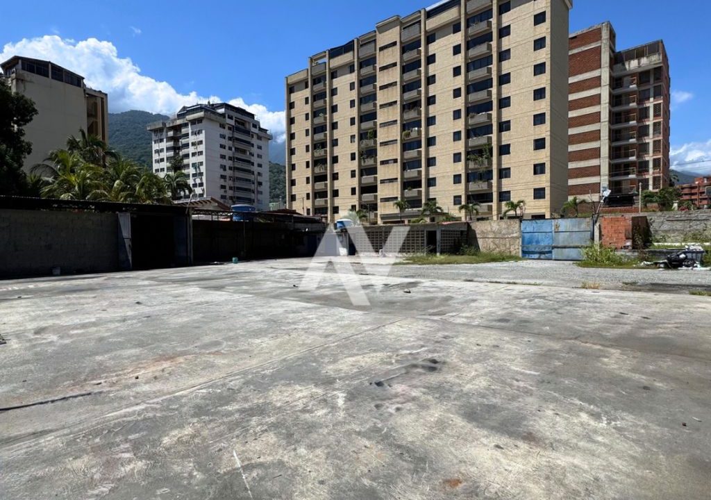 WhatsApp Image 2025-09-08 at 11.52.50 AM (2)