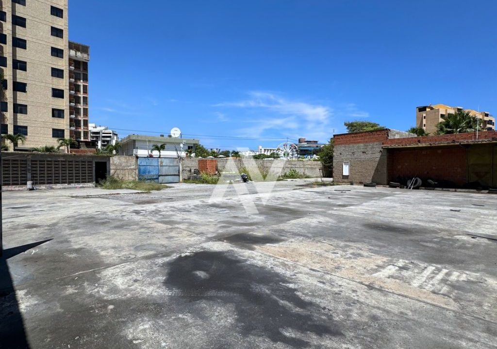 WhatsApp Image 2025-09-08 at 11.52.50 AM (3)