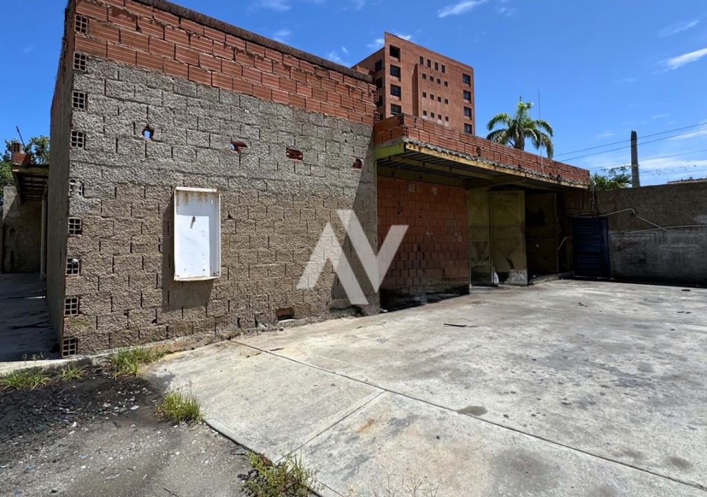 WhatsApp Image 2025-09-08 at 11.52.51 AM