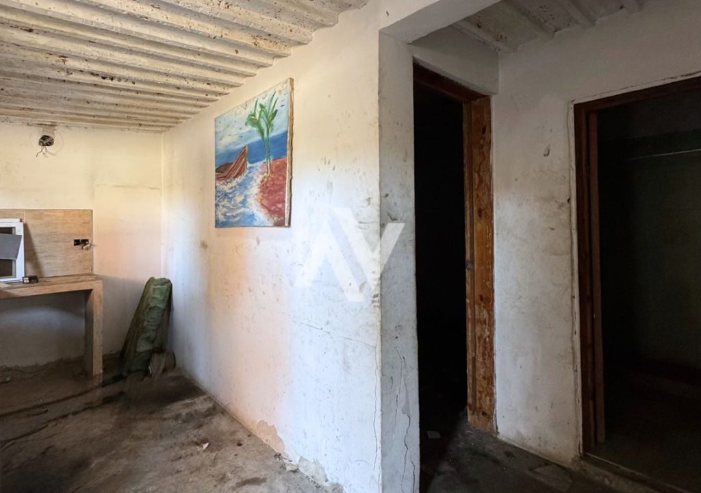 WhatsApp Image 2025-09-08 at 11.52.51 AM (3)